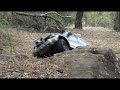 Mitsubishi pajero running in calamot again