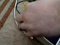 Boss DD-3 Digital Delay Demo