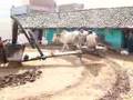Traditional Oil Expeller