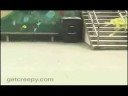Paul Rodriguez Rail Sesh