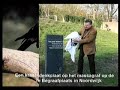 Oudejaarsuitzending Radio bollenstreek