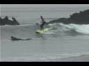 videos de Julie Cox CopyYT.mov