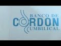 Banco de Cordon Umbilical (BCU) Discovery Home & Health