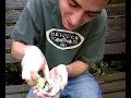 Freebase tobacco