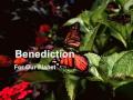 Benediction:  The Salt of the Earth