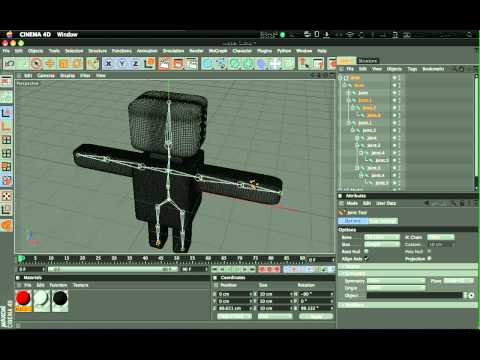 Character Rig Cinema 4D For Mac