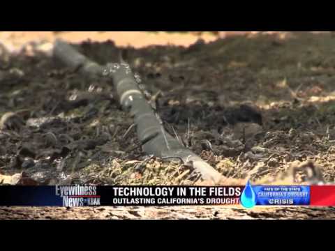 drought - California's drought crisis Fate of the State California Drought 2014 Channel 29 KBAK Bakersfield.