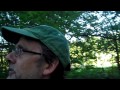 Epicycles Ether Phlogiston Will