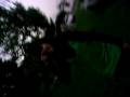 videos de El emo de capusotto por la Vir