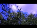 Lapse It for Android Demo