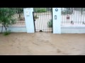 Big Rain in Evia   Sept 2009