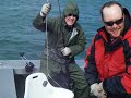 Alaska Halibut attacks guide