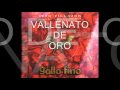 ivan villazon - campesina ibaguereña