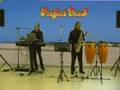 Perfect Band - Petite fluer