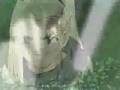 At the Beginning SasuIno.wmv