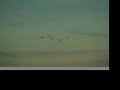 comet-mcnaught-and-the-sun-movies-by-soho-spacecraft.html
