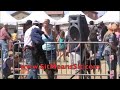 DOG TRAINING | AMAZING DOG TRAINERS!