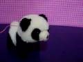 futomomo-panda
