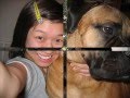 My bullmastiff Rocky