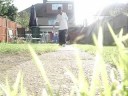 Cwalk...Reaper