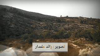 أجمل المناظر الجبلية دولة فلسطين قرية بيتا