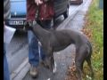 penny and lolas vid.wmv