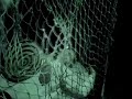 a pov video shot in nightvision of the 2007 halloween maze, lockdown.

this was shot at the very end of the night, and isn't the best example of our work or scares, as we had some very tired actors by this point!