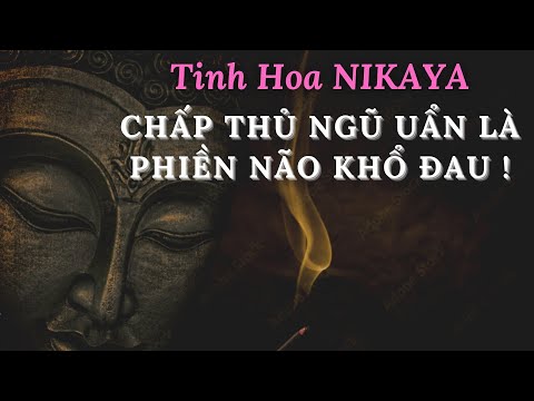 Tinh Hoa NIKAYA - Chấp Thủ Ngũ Uẩn Là Phiền Não Khổ Đau !