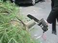 videos de Dad Chainsaws the Base of the Xmas Tree