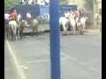 Abrivado