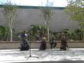 International Festival - Belly Dancers