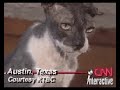 FROM CNN News: Granpa Rexs Allen - 32 Year old Sphynx cat - 1999 Cat of the Year