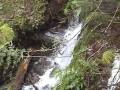 videos de Clackamas River LNG Pipeline Crossing Hike '08: Bark for Mt Hood March 2008