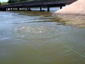 Throwing for shad Lake Tawakoni May 2009