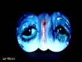 tony oursler | mirada pensante tony oursler | mirada pensante