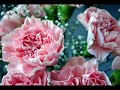 Nazm - Na May Rahay Na Rahay Khum