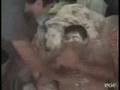 ddf7ffcd19e2aa133a8edb023f7f8ce5.flv