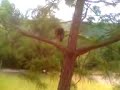 IMPRESIONANTE!!! BRUJA REAL EN LA HUASTECA!!! VER PARA CREER!!!!! JUZGUEN USTEDES MISMOS