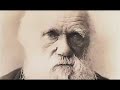 Nietzsche 2