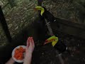 Belize 026.avi