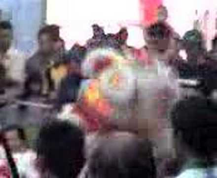 Shaking lion !