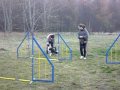 Charlie a agility
