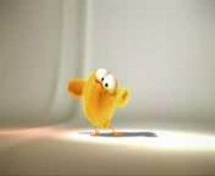 Sweet chicken singing