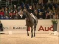 (I'm Bringing) Sexy back - Dressage