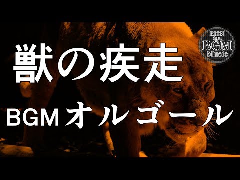 動画