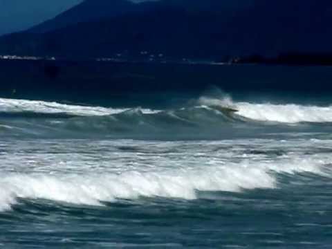 joaquina