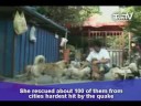 TnnTV World News china_quake_dogs