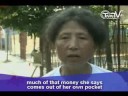 TnnTV World News china_quake_dogs