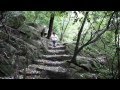 Ver Video