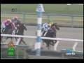 videos de [レースリプレイ] 081115 5京都3 06R